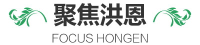 聚焦洪恩