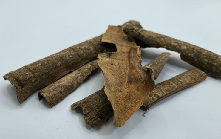 救必應(yīng).png